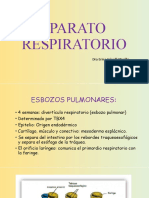 Aparato Respiratorio