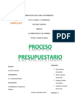 Proceso Presupuestario