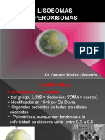 Lisosomas y Peroxisomas-Gus