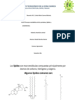 Procesos metabólicos de proteínas, lípidos y carbohidratos en nutrición animal