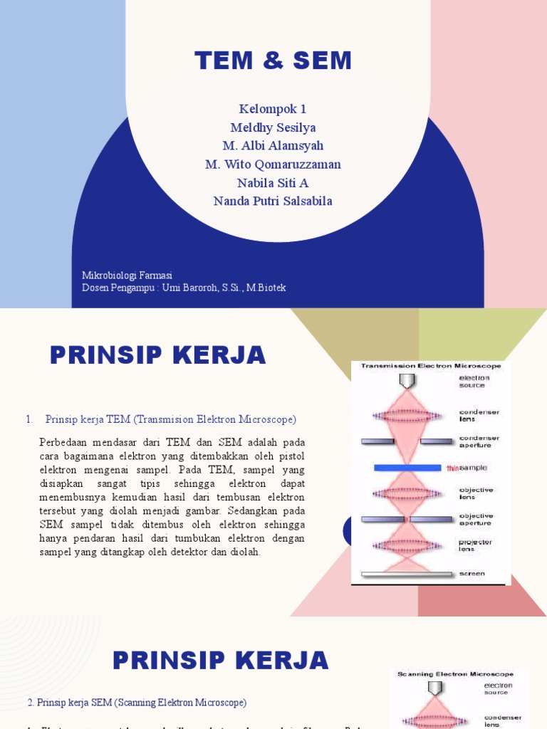 Mikroskop Elektron: TEM & SEM | PDF | Sains & Matematika
