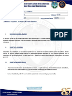 Copia de Programa Auditoría I-2023-Formato Digital