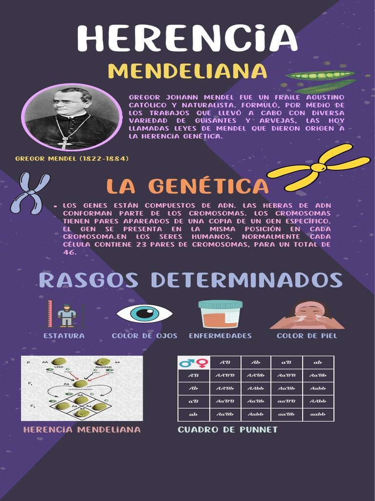 Herencia Mendeliana | PDF