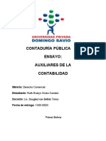 Auxiliar Contable