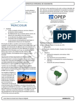 Mercado Común Del Sur (MERCOSUR) :: Jesús Mauricio David José Vásquez Delgado