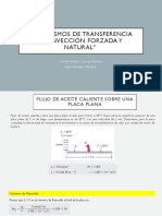Problemas Convección Natural y Forzada