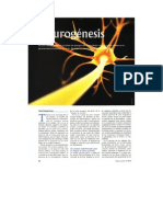 seminario 3-neurogenesis