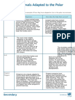 Muhammad Ali Malik - Adapting To Survive Activity Sheet