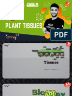 01.+tissues+ +Plant+Tissues+ +1