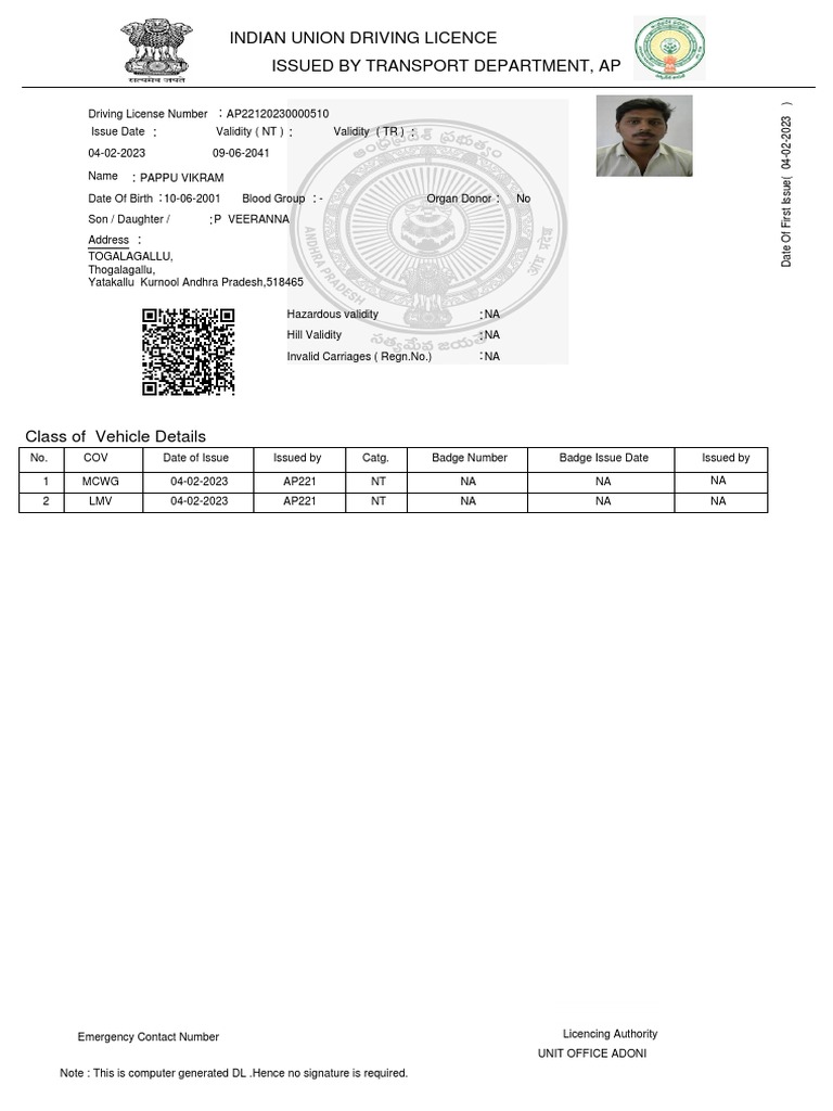 Dlreportprint Do | PDF