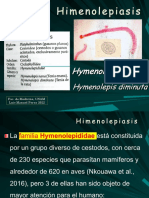 Himenolepiasis 2022