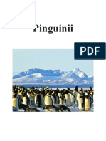 Pinguinii