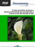 Cultivo de Plantas Ornament a Is No Rio Grande Do Sul - EMBRAPA