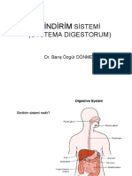 Sindirim 2020-21