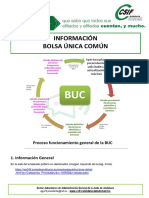 Bolsa Unica Info