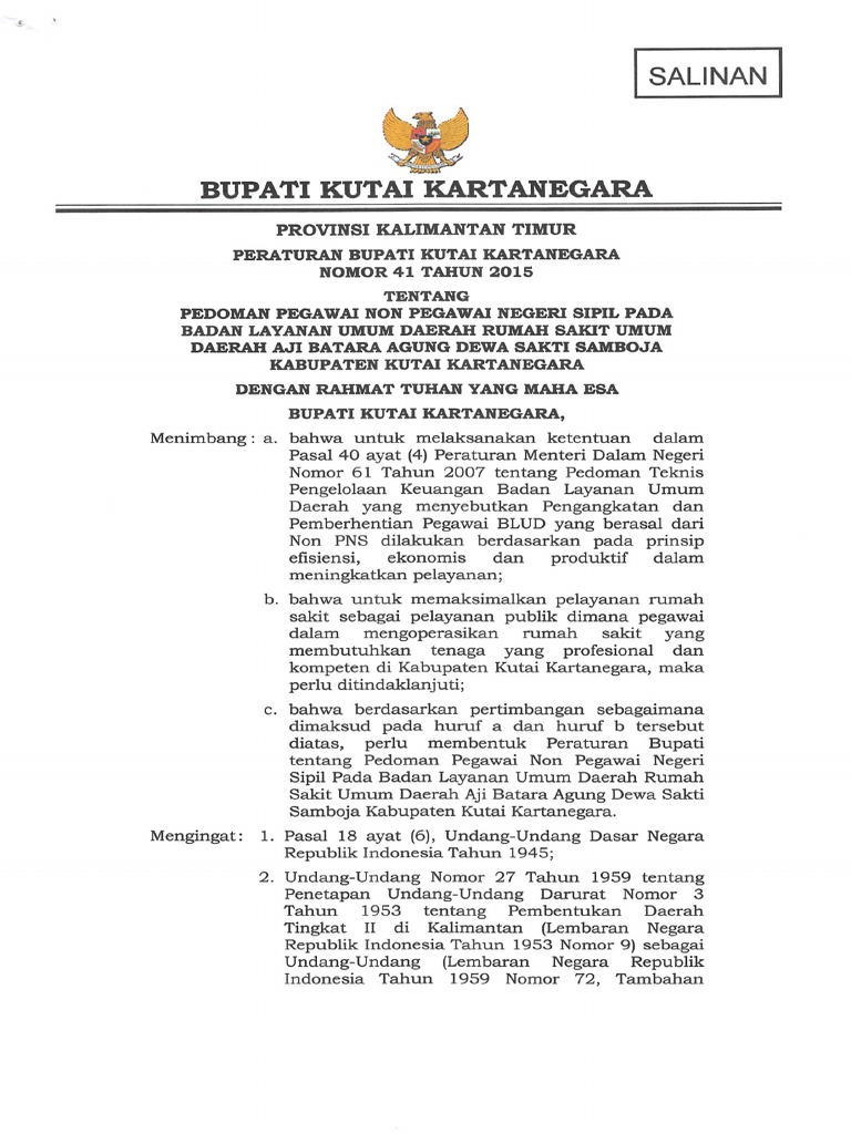 Pedoman Pegawai Non Pns Pada Badan Layanan Umum Daerah Rsud Aji Batara