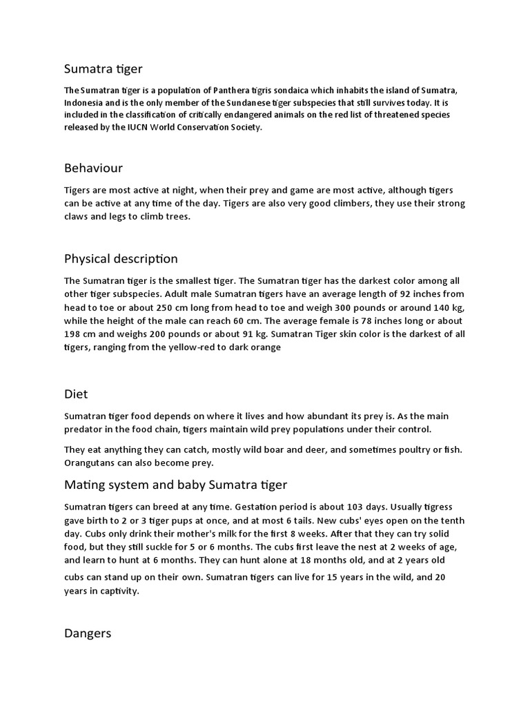 Sumatra Tiger | PDF
