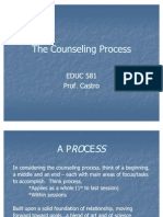 The Counseling Process-1