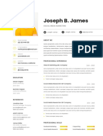 03 Professional CV Resume