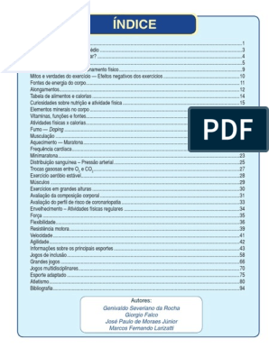 Cad Ensino Medio Educacao Fisica, PDF, Voleibol