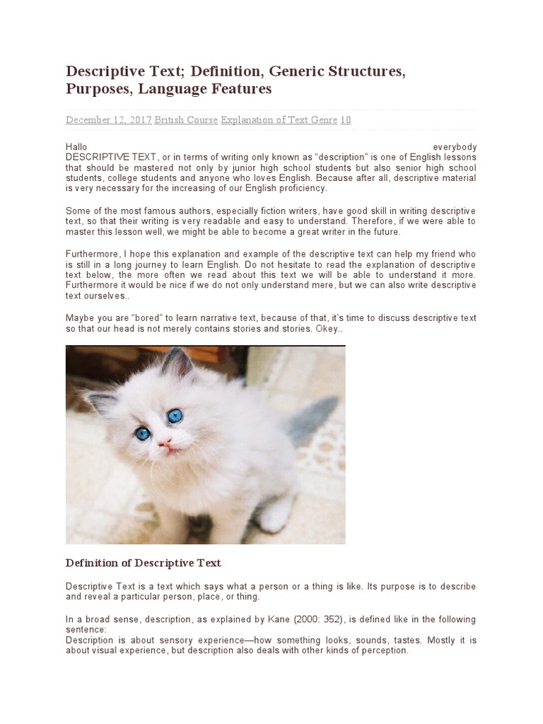 Descriptive Text | PDF | Experience | Verb