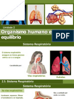 Sistema Respiratorio 6566