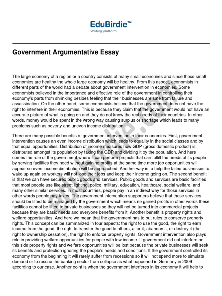 Government Argumentative Essay Pdf Economics Welfare
