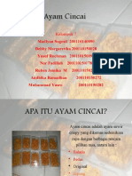 Ayam Cincai Kelompok 7