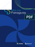 Perfil Pais - Paraguay