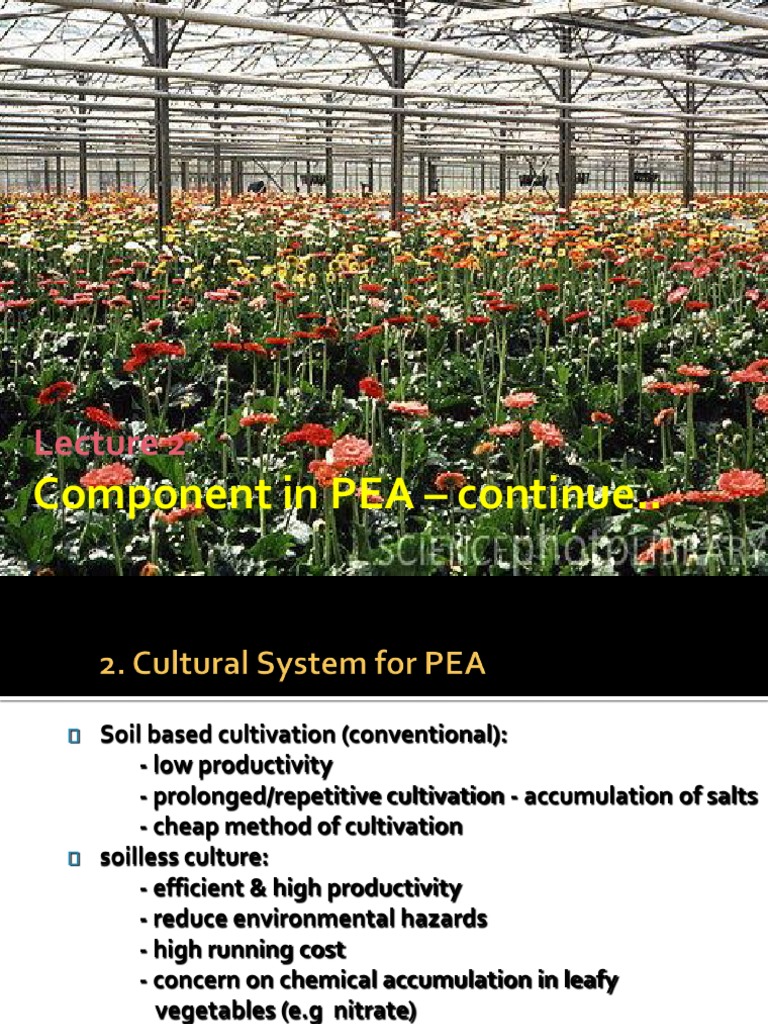 Greenhouse Cultivation Techniques Overview | PDF | Irrigation | Nature