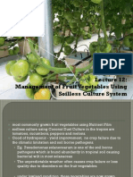 Lect12-Crop Management For Selected Fruit Vege Using Soilless Culture