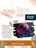 MODULE 2 - Plant and Animal Cell