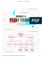 MODULE 4 - Plant Tissues