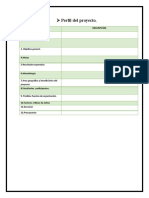 4) Perfil Del Proyecto Formulario