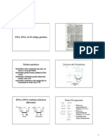 DNA, RNA, & El código genético