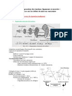 UE5 - Processus de Réparation Tendons, Lig, Muscles