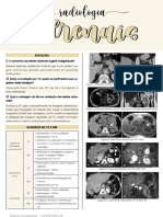 Práticas Radiologia - Aula 4 - Avaliação Das Adrenais