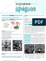 Práticas Radiologia - Aula 3 - RM Da Hipófise