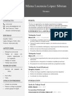 233 Curriculum Vitae Profesional para Trabajo