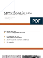 PDF Presentacion Tesis para Optar El Grado de Ingeniero Ambiental - Compress