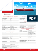 FSV Magnum Brochure