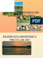 Rezervatii Biosferice Din Reublica Moldova