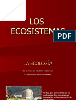 Eco Sistem As