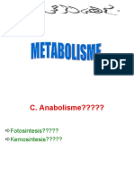 Anabolism e