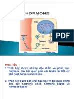 Hormone - THS Hòa