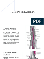 Arterias de La Pierna