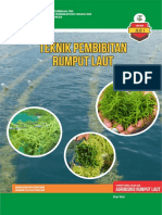 Teknik Pembibitan Rumput Laut