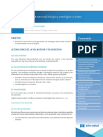 PDF Anat Neuro