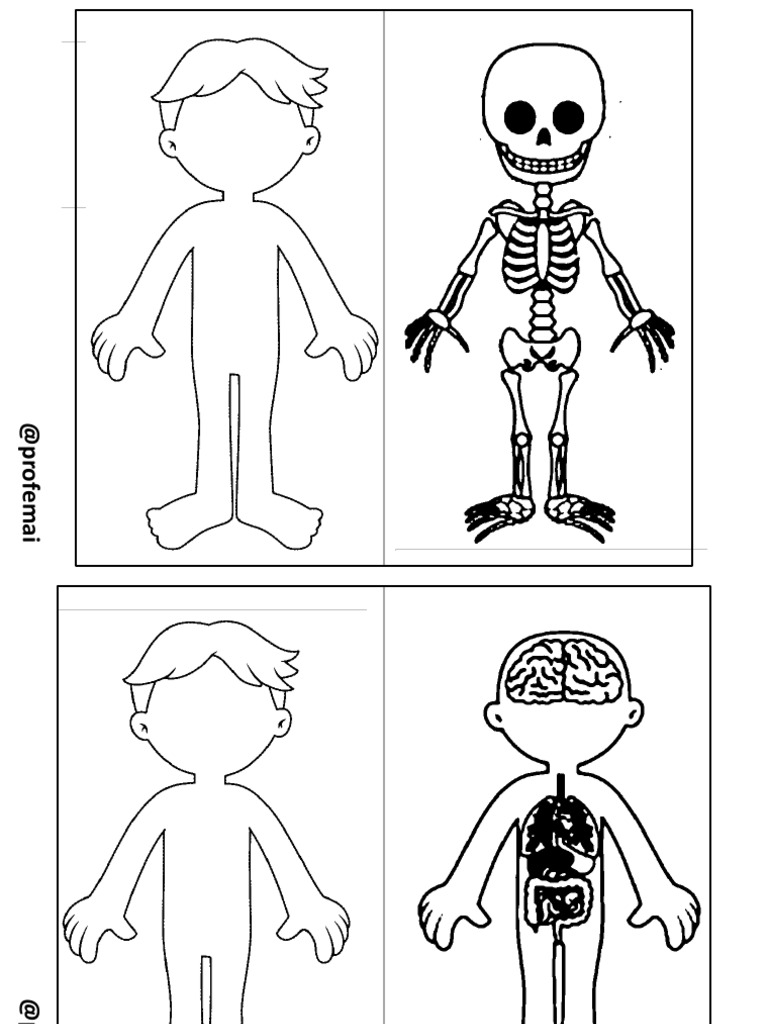 Corpo Humano Moldes | PDF