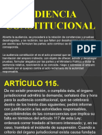 Clase 4 La Prueba en La Audiencia Constitucional